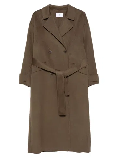 The Dynamis Studio In Brown