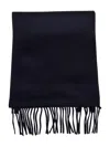 The Dynamis Studio Fringed Scarf In Blue