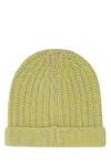 The Elder Statesman Foldable Ribbed Cuff Knitted Beanie