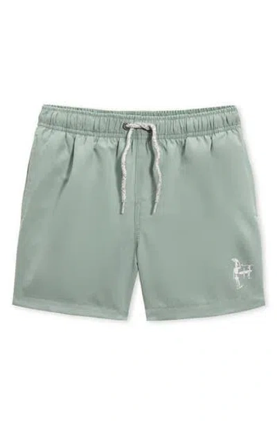 The Endless Summer Kids' Solid Swim Trunks In Green