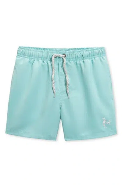 The Endless Summer Kids' Volley Swim Trunks In Green