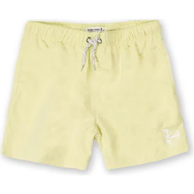 The Endless Summer Kids' Washed Stretch Volley Swim Trunks In Lime