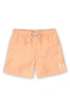 The Endless Summer Little Boy's & Boy's Solid Shorts In Orange