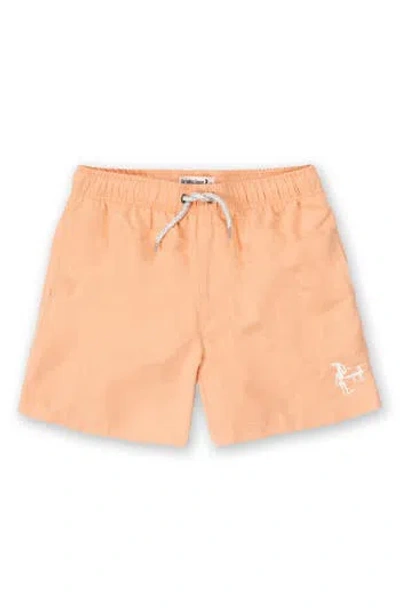 The Endless Summer Kids' Washed Volley Swim Trunks In Orange