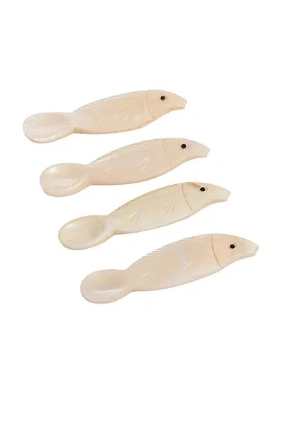 The Favorites Fish Condiment & Caviar Spoon In Brown