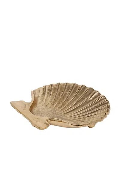 The Favorites Sanibel Shell Tray In Brown