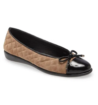 The Flexx Riseco Ballet Flat In Peabut/blk In Brown