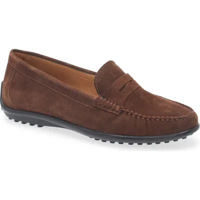 The Flexx Winter Driving Shoe