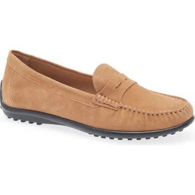 The Flexx Winter Driving Shoe