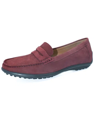 THE FLEXX THE FLEXX WINTER LOAFER SUEDE LOAFER