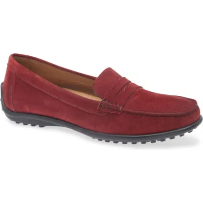 The Flexx Winter Penny Loafer In Bordeaux
