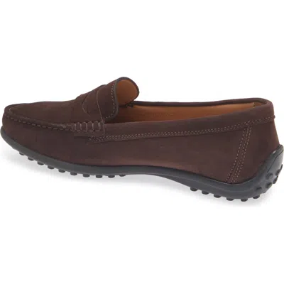The Flexx Winter Penny Loafer In Corteccia