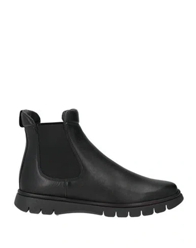 The Flexx Woman Ankle Boots Black Size 8 Leather