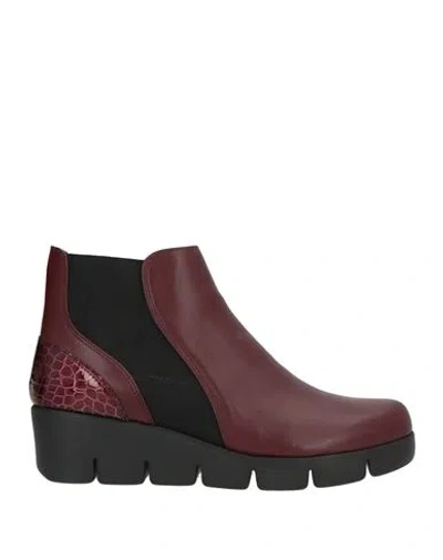 The Flexx Woman Ankle Boots Burgundy Size 6.5 Leather