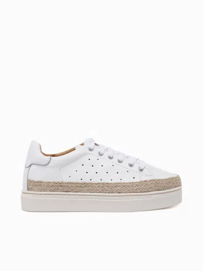 THE FLEXX WOMEN'S HI TIDE TOO SNEAKER IN WHITE