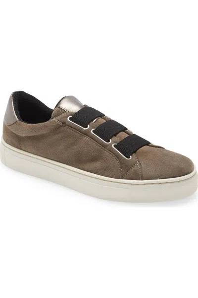 The Flexx Women's Sneak Easy Shoes In Taupe Suede In Brown