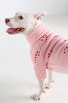 The Foggy Dog Candy Cane Pet Sweater In Pink