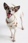 The Foggy Dog Knit Bandana In Brown