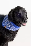 The Foggy Dog Knit Bandana In White