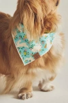 The Foggy Dog Pet Bandana In Blue