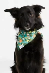 The Foggy Dog Pet Bandana In Blue