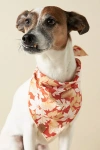The Foggy Dog Pet Bandana In Brown