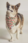 The Foggy Dog Pet Bandana In Multicolor