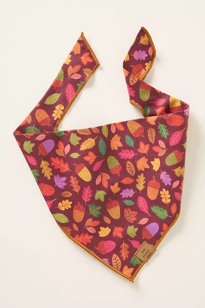 The Foggy Dog Pet Bandana In Orange