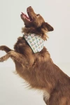 The Foggy Dog Pet Bandana In Pink
