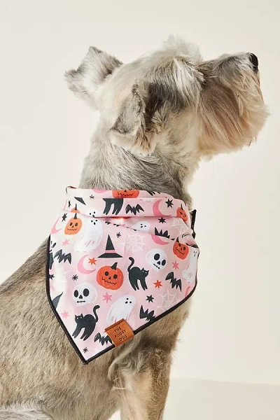The Foggy Dog Pet Bandana In Pink