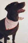The Foggy Dog Pet Bandana In Pink