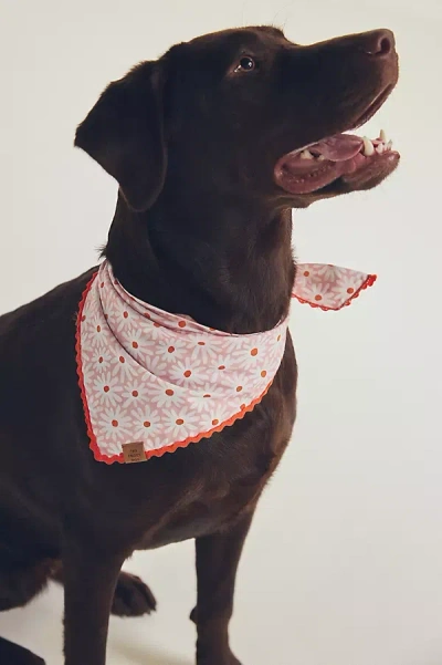 The Foggy Dog Pet Bandana In Pink