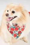 The Foggy Dog Pet Bandana In Red