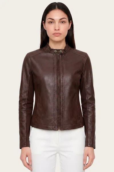 The Frye Company Emily Moto Jacket In Dark Brown