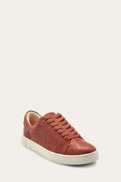 The Frye Company Frye Ivy Low Lace Sneaker In Cognac