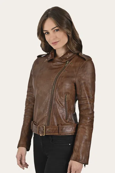 The Frye Company Linc Biker Jacket In Brown