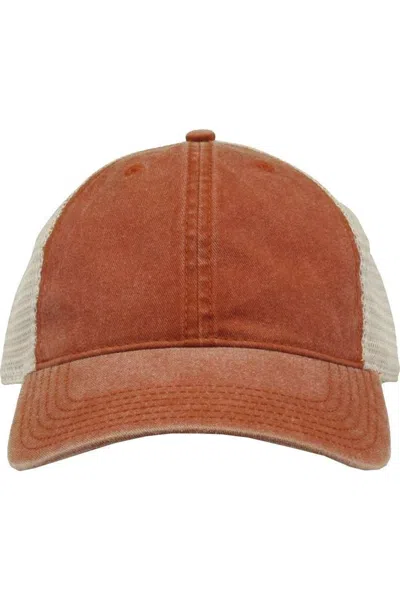 The Game Pigment-dyed Trucker Cap In Brown
