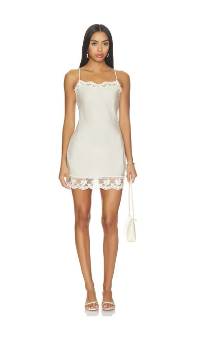 The Garment Darling Lace Dress In White