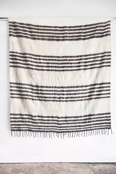 The Global Trunk Thin Stripe Modern Momo Blanket In White