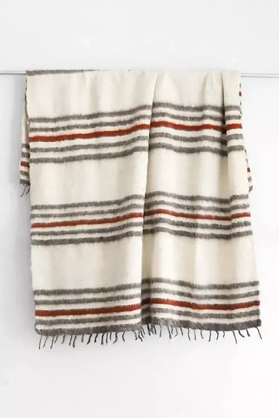 The Global Trunk Thin Stripe Modern Momo Blanket In Multi