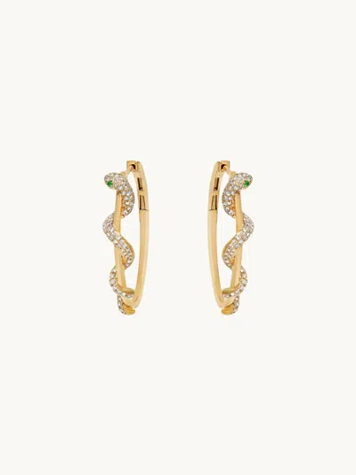 The Gold Album Eden Hoop In Gold
