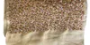 The Gray Crab Women's Silk Scarf In Beige Cream