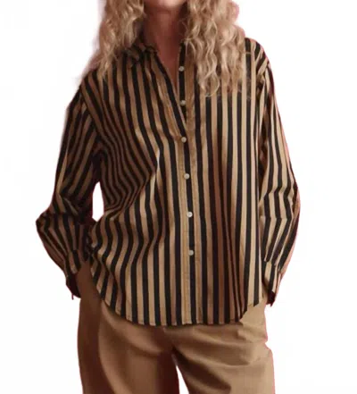 The Great Daily Button Up Shirt In Khaki Black Club Stripe In Brown