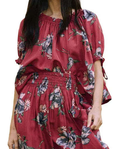 The Great The Petunia Top In Garden Pasture Floral In Red