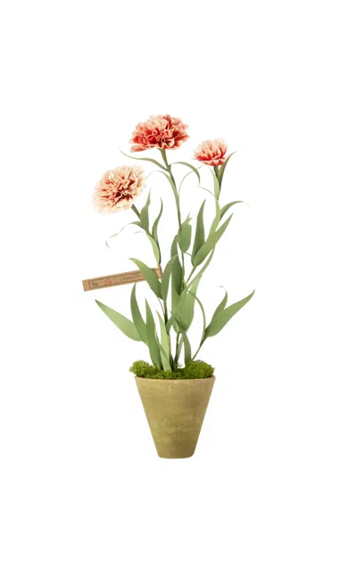 The Green Vase Carnation Paper Plant In Red