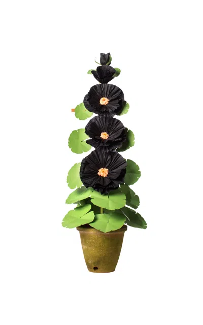 The Green Vase Hollyhock Paper Plant In Black