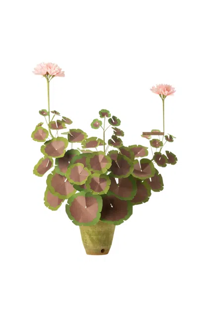 The Green Vase Two-tone Paper Geranium Plant In Pink