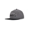 The Hundreds F23 Team 2 Cap Men's Flat Visor Cap