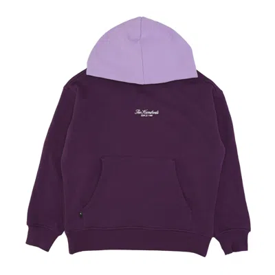 The Hundreds Rich Pullover Purple Men's Hoodie