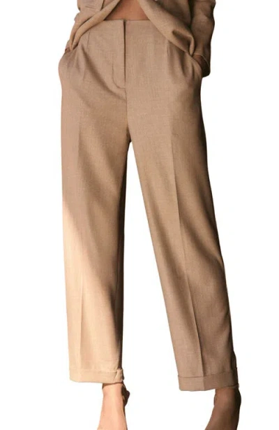 The Iq Collection Max Pants In Brown